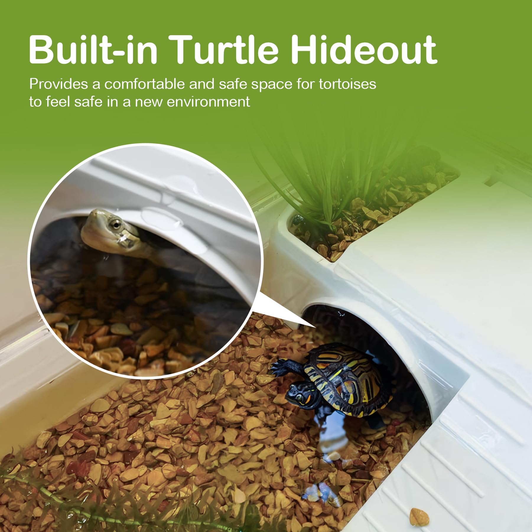 Clioran durable acrylic habitat provides long-lasting, bright habitat with sturdy construction.