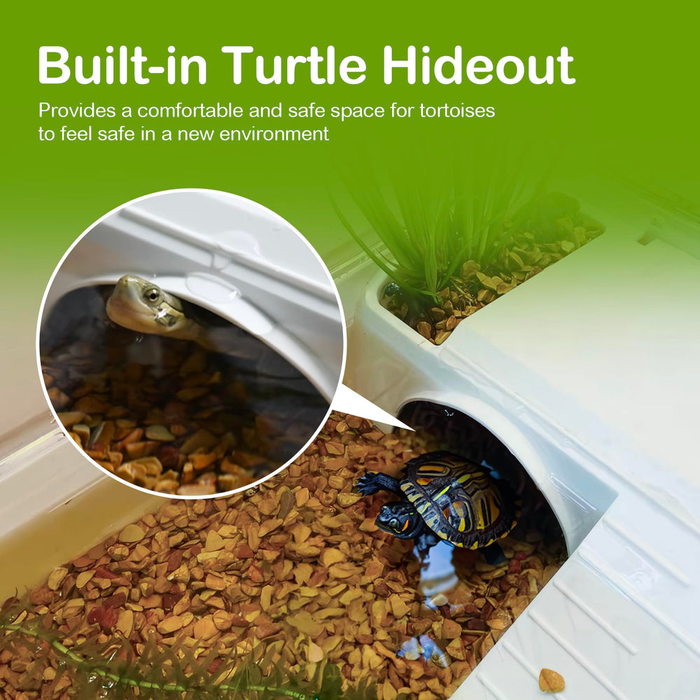 Clioran durable acrylic habitat provides long-lasting, bright habitat with sturdy construction.
