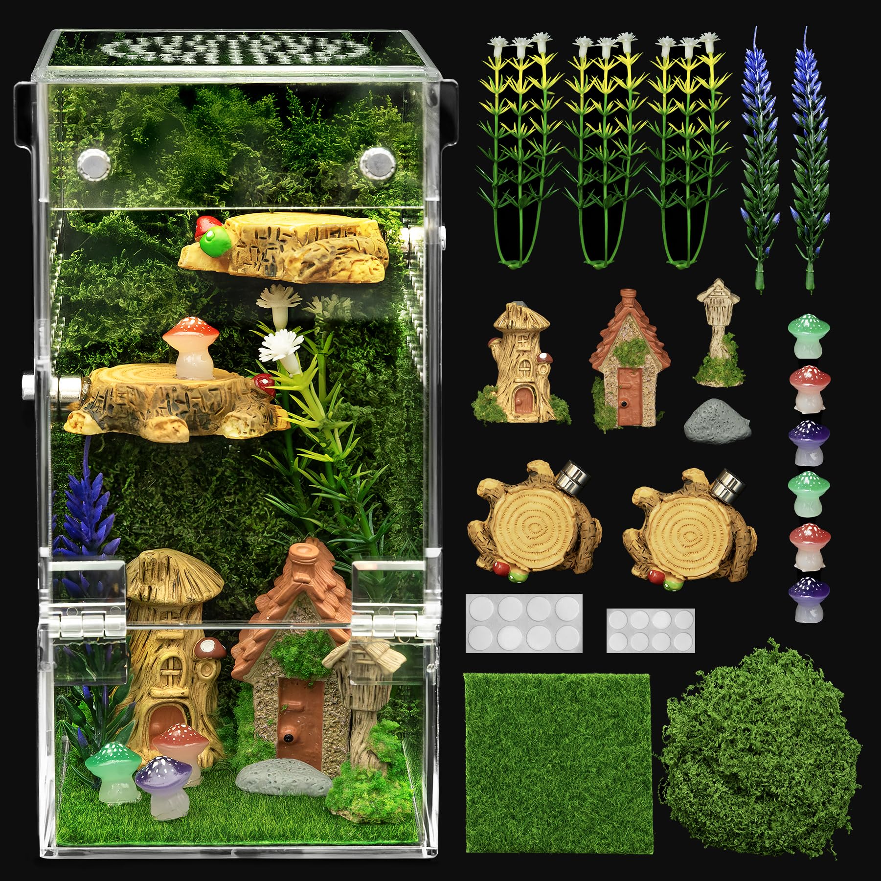 Clioran jumping spider enclosure demonstrating escape-proof door for secure feeding