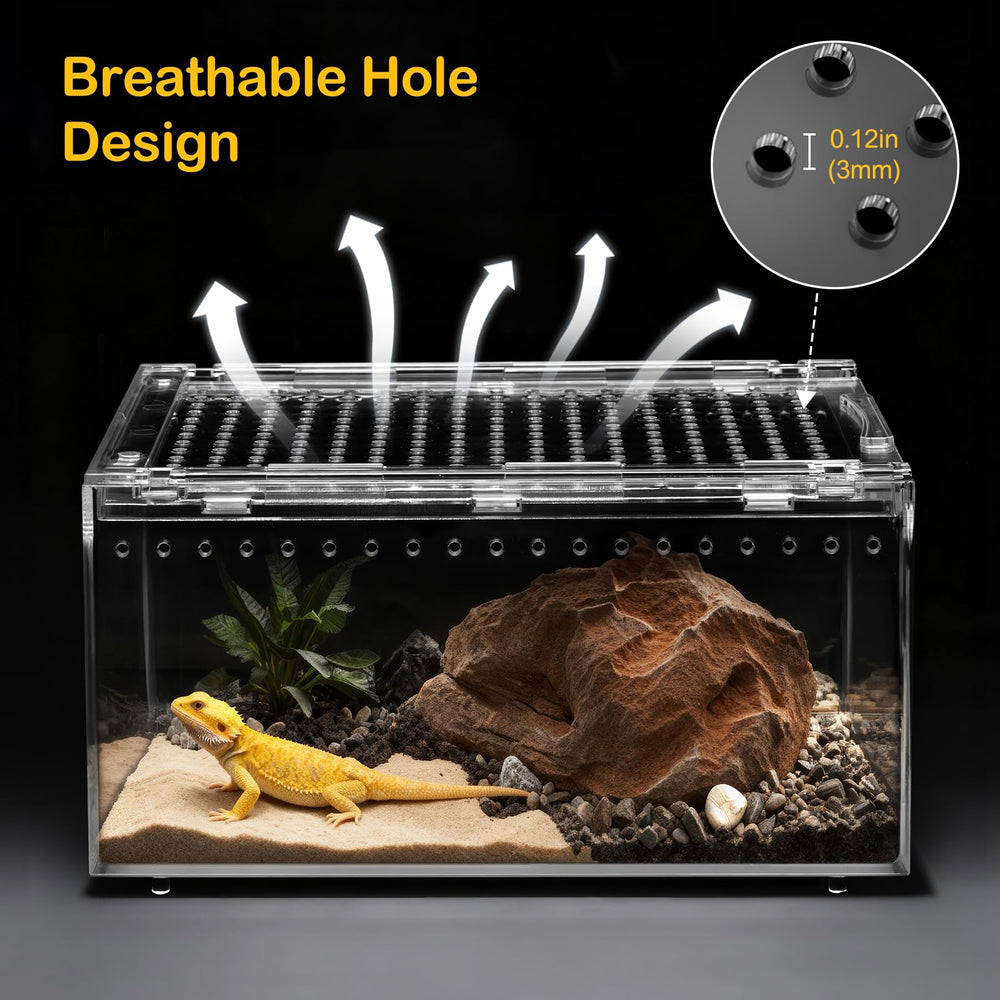Clioran PC rock hide cave provides natural shelter for small reptiles