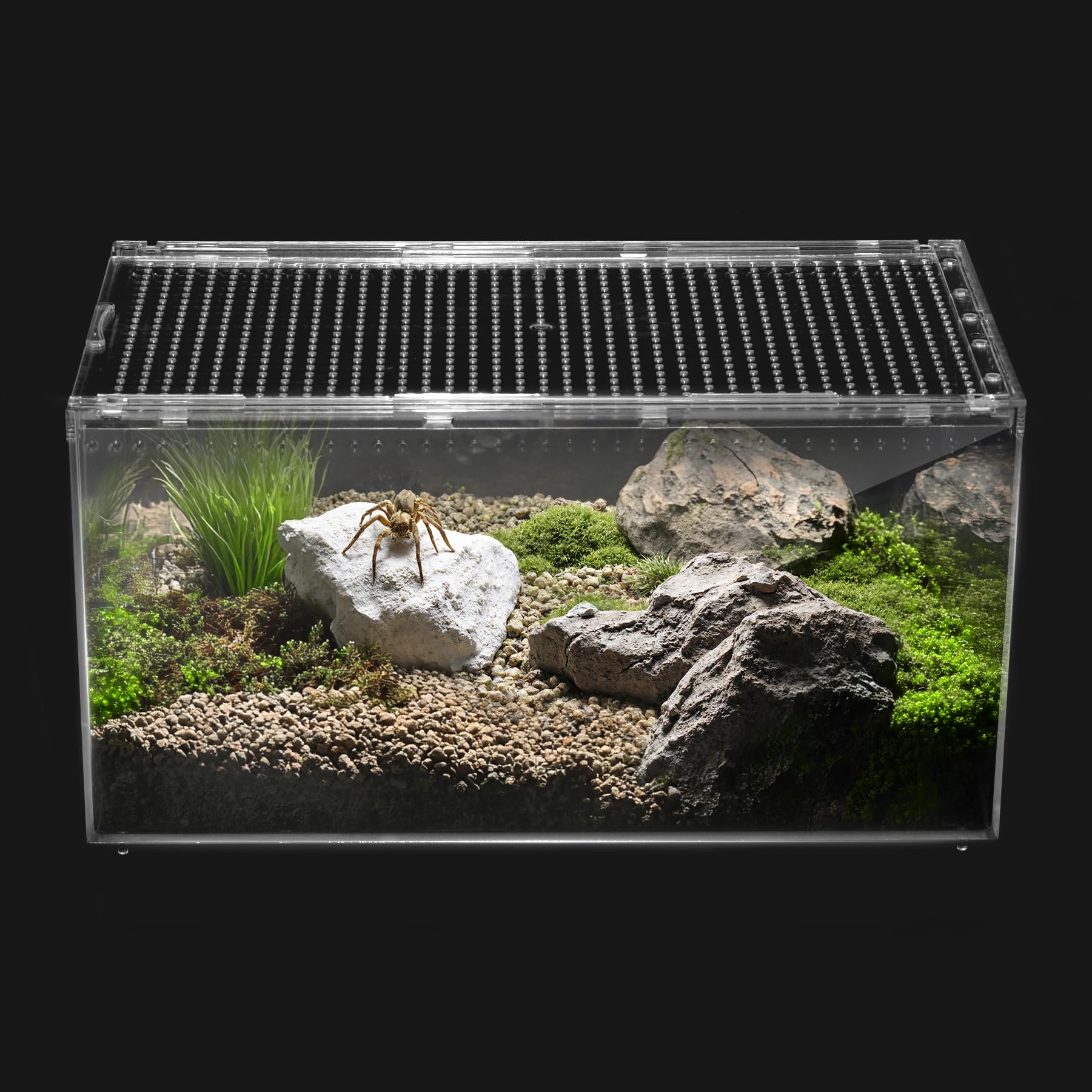 Clioran Reptile PC Terrarium 360° view highlights clear observation for tarantulas and geckos.