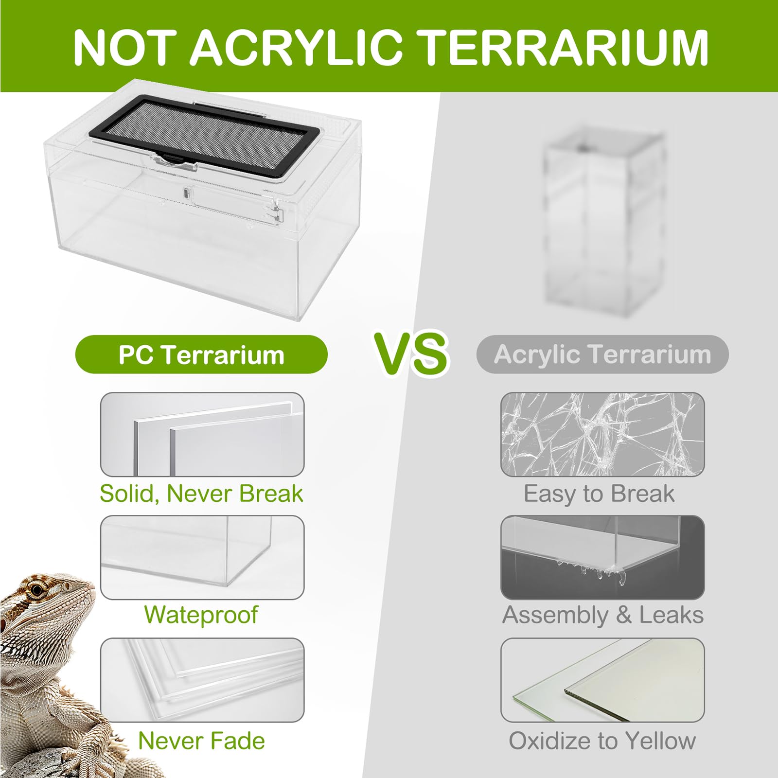Clioran Reptile PC Terrarium cross section shows seamless one piece design