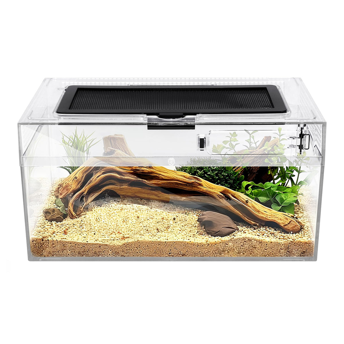 Clioran Reptile PC Terrarium top view offers clear visibility for easy observation