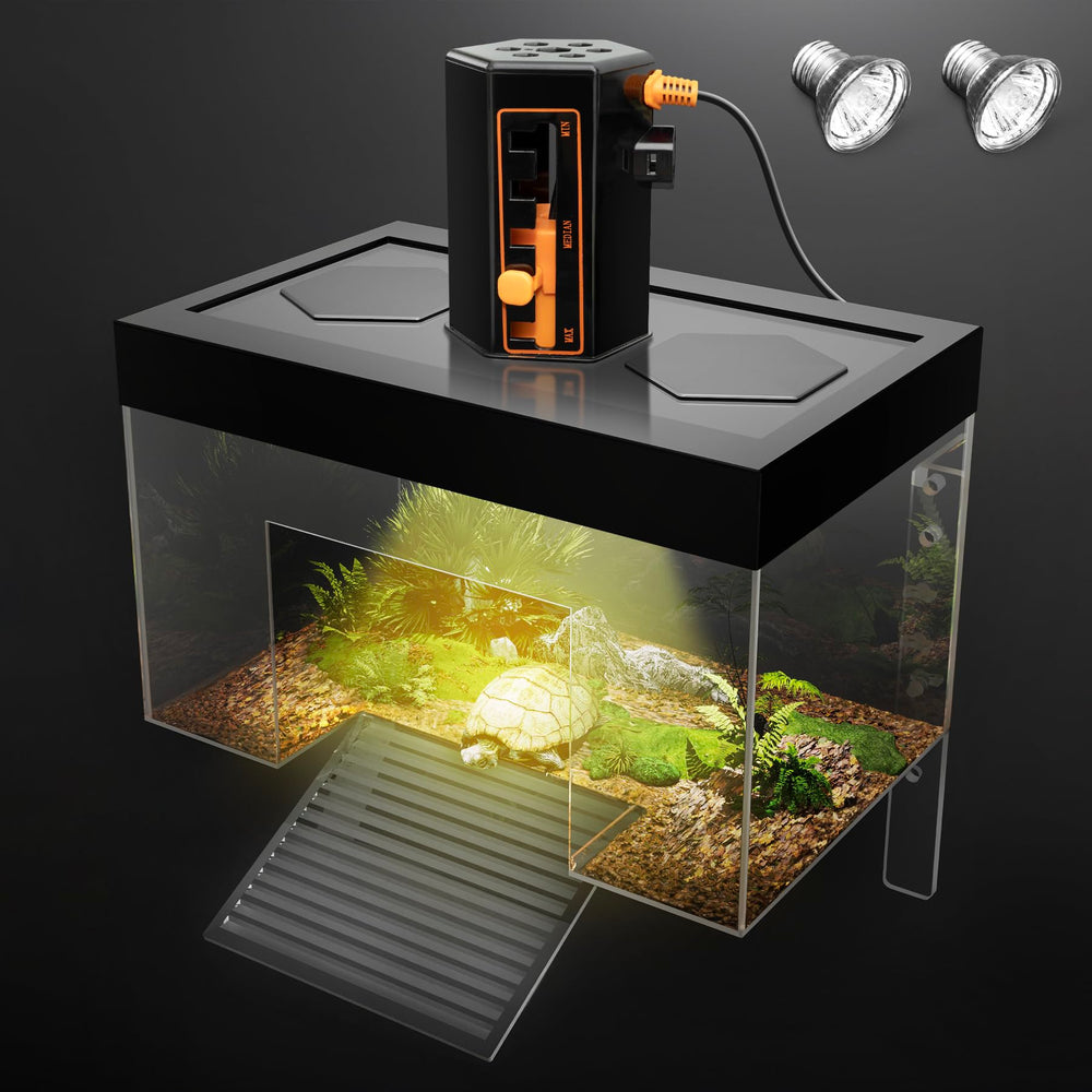 Clioran Turtle Basking Platform top-hanging setup offers stable sunbathing for active baby turtles.
