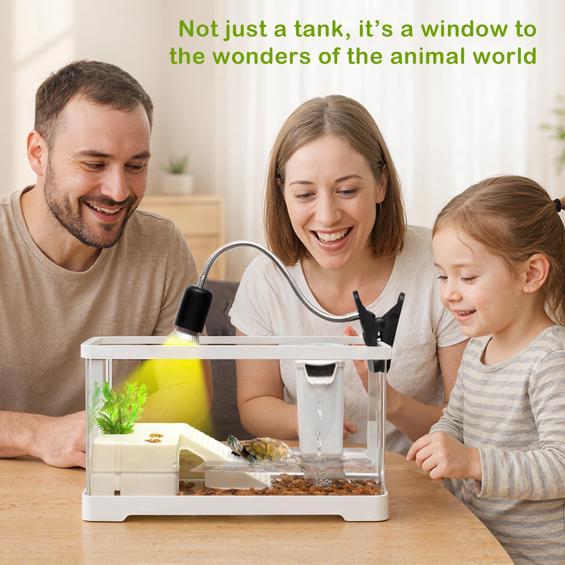 Clioran Turtle Tank Kit all-in-one-view illustrates a compact, ready-to-use setup.