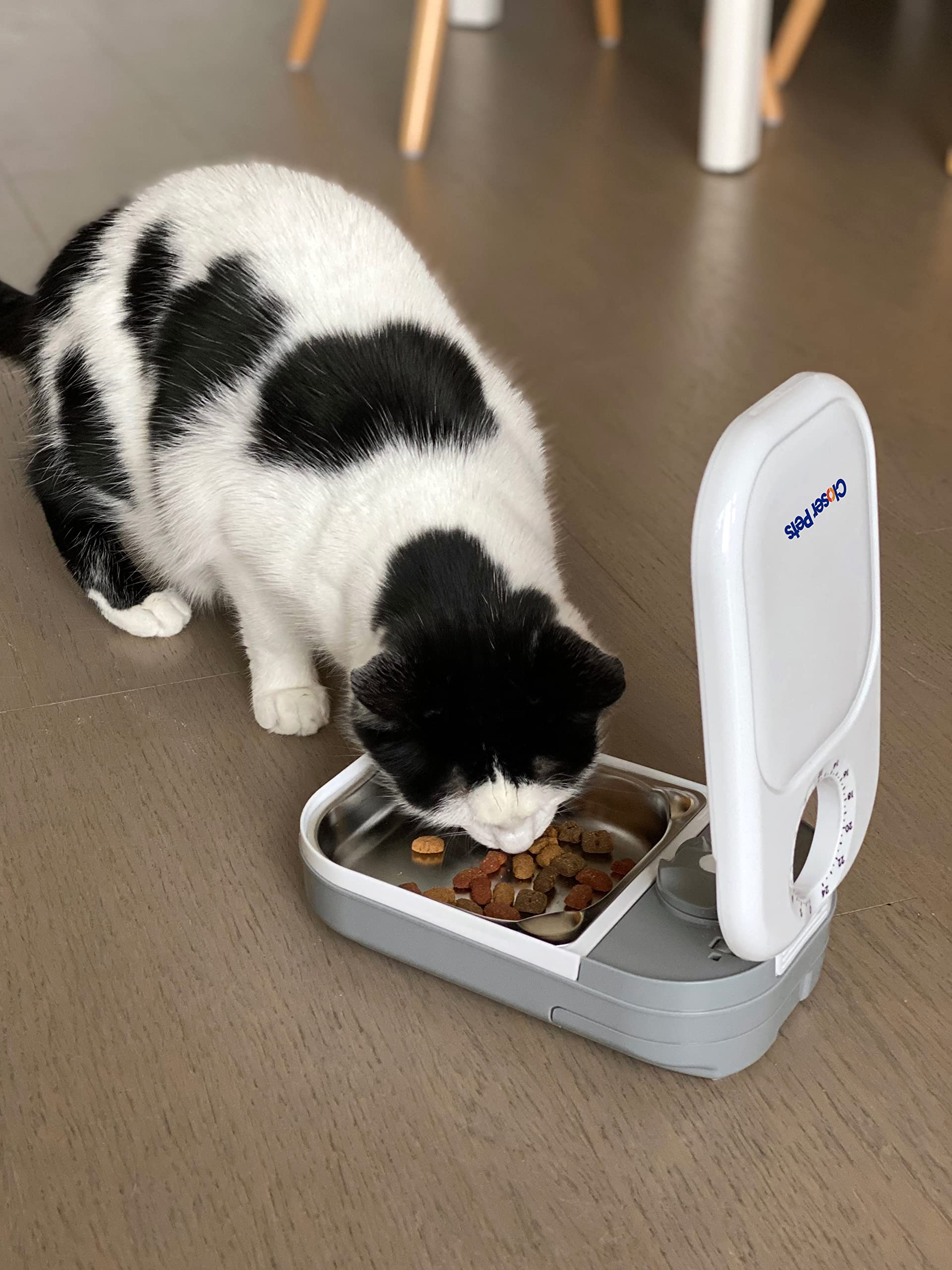 Closer Pets C100 stainless steel bowl for wet or dry food and easy cleaning.