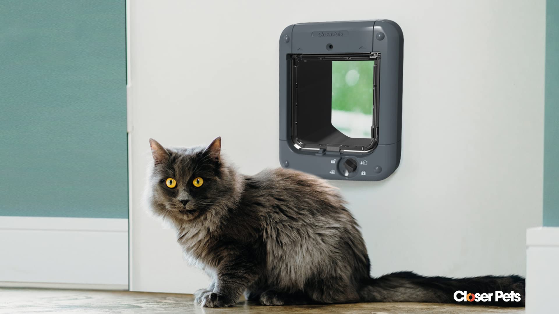 Closer Pets Cat Flap microchip entry disc demonstrates ID-based access