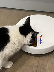 Closer Pets Five-compartment Feeder enables portion-controlled feeding.