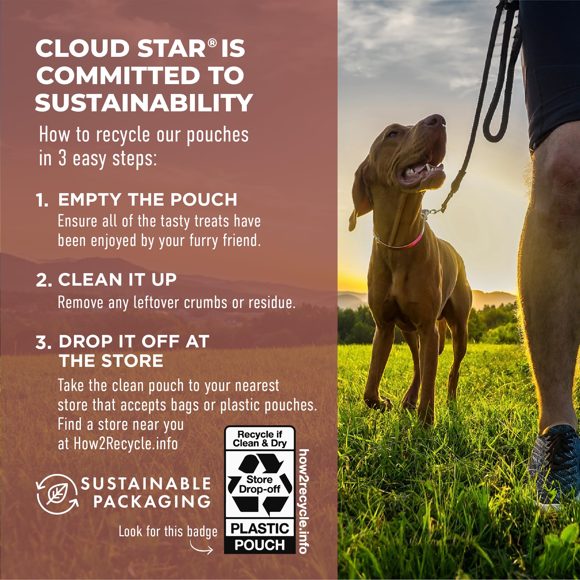 Cloud Star Dynamo Dog Tummy Soft Chews dog enjoying chew after meal