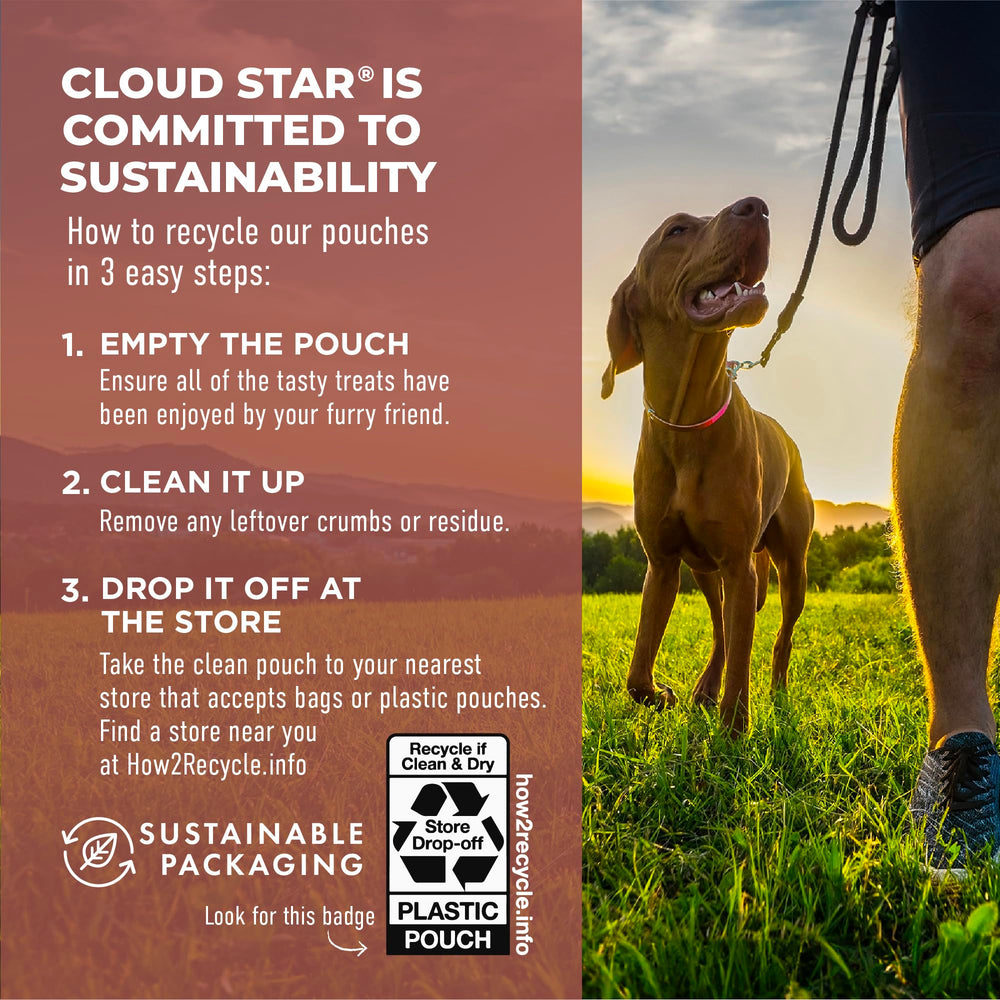 Cloud Star Dynamo Dog Tummy Soft Chews dog enjoying chew after meal