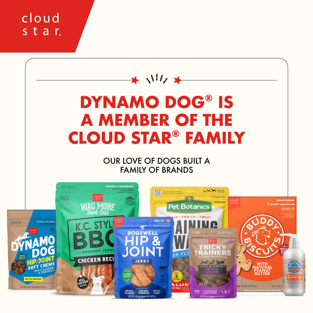Cloud Star Dynamo Dog Tummy Soft Chews pumpkin-ginger ingredients highlight wholesome formulation