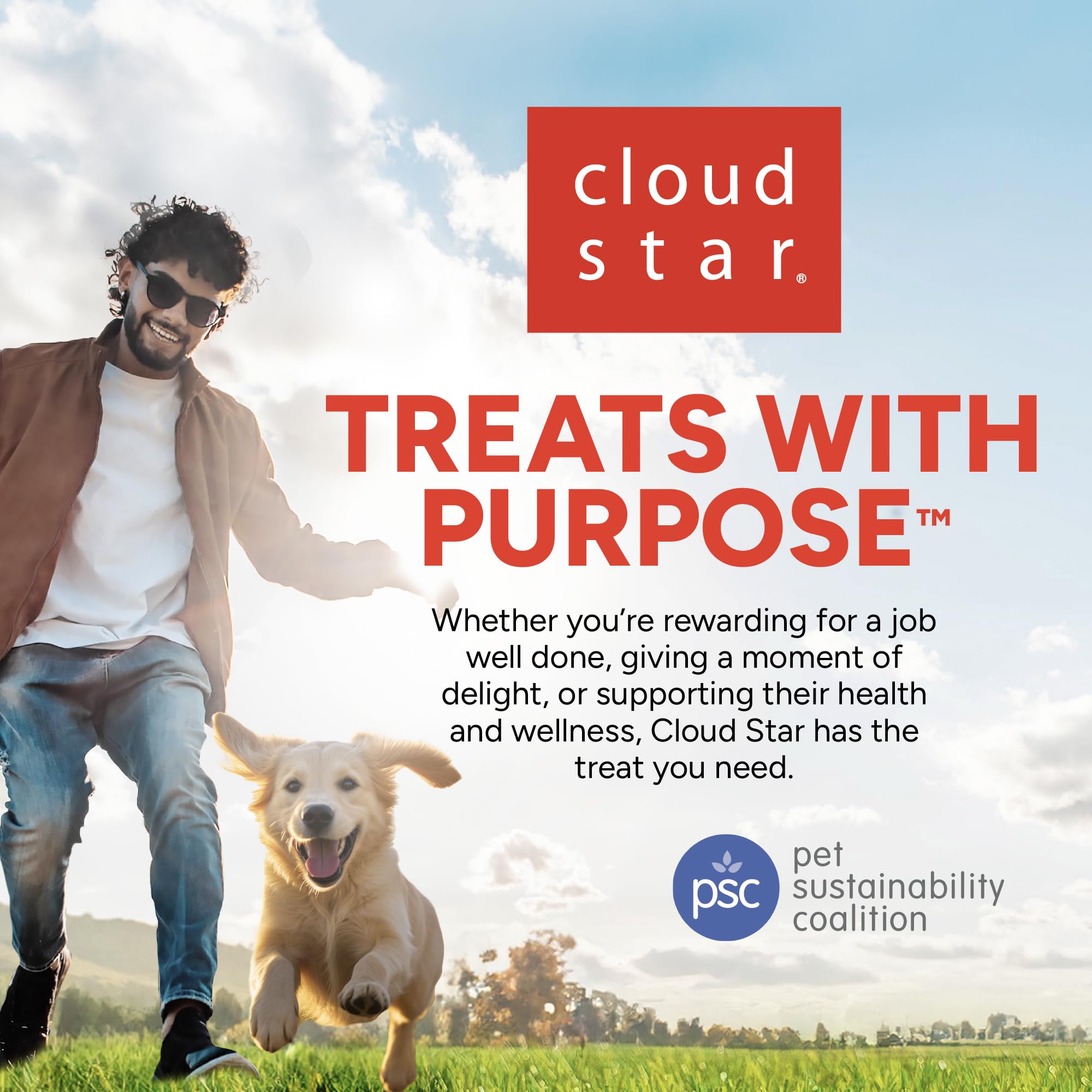 Cloud Star Dynamo Dog Tummy Soft Chews probiotic benefits symbol suggests digestive-support potential