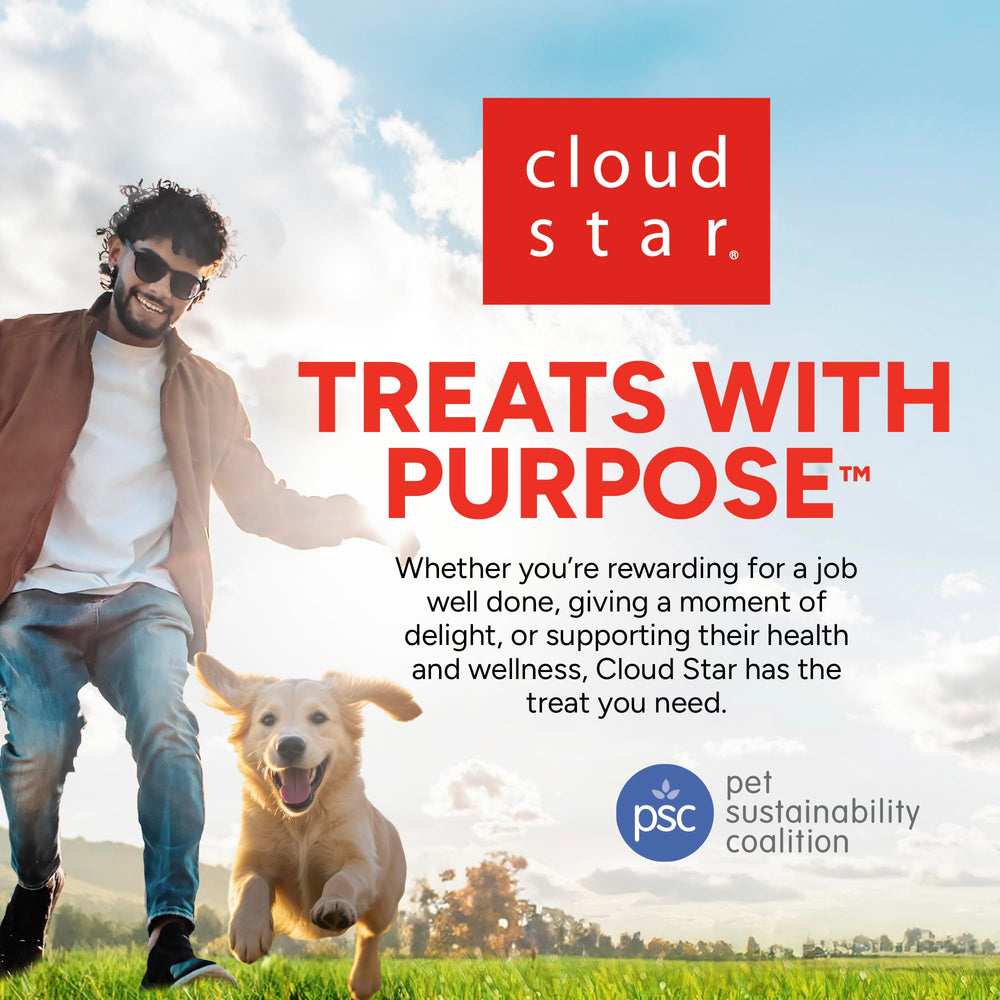 Cloud Star Dynamo Dog Tummy Soft Chews probiotic benefits symbol suggests digestive-support potential