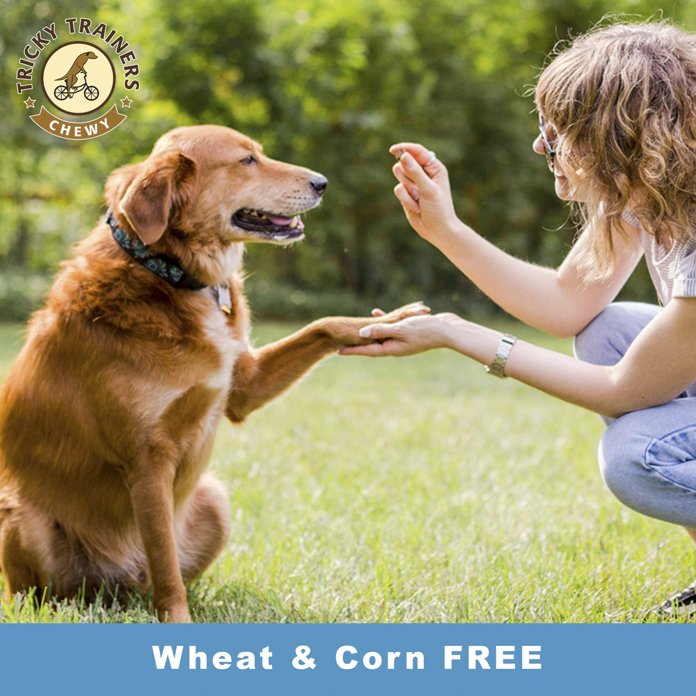 Cloud Star Tricky Trainers 3 kcal per treat close-up for low-calorie training snacks.