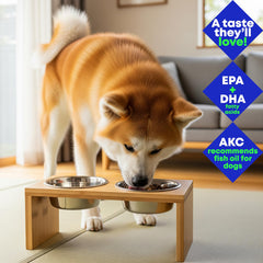 Club Hachiko skin and coat support shown on a healthy-looking dog.