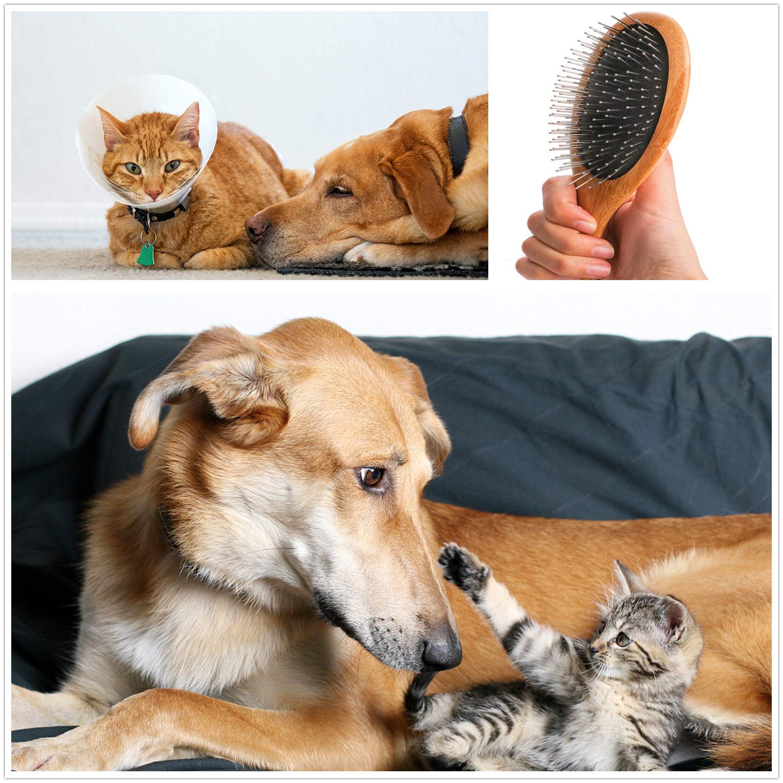 Clumsy Pets brush removes mats and loose hairs on dogs and cats.