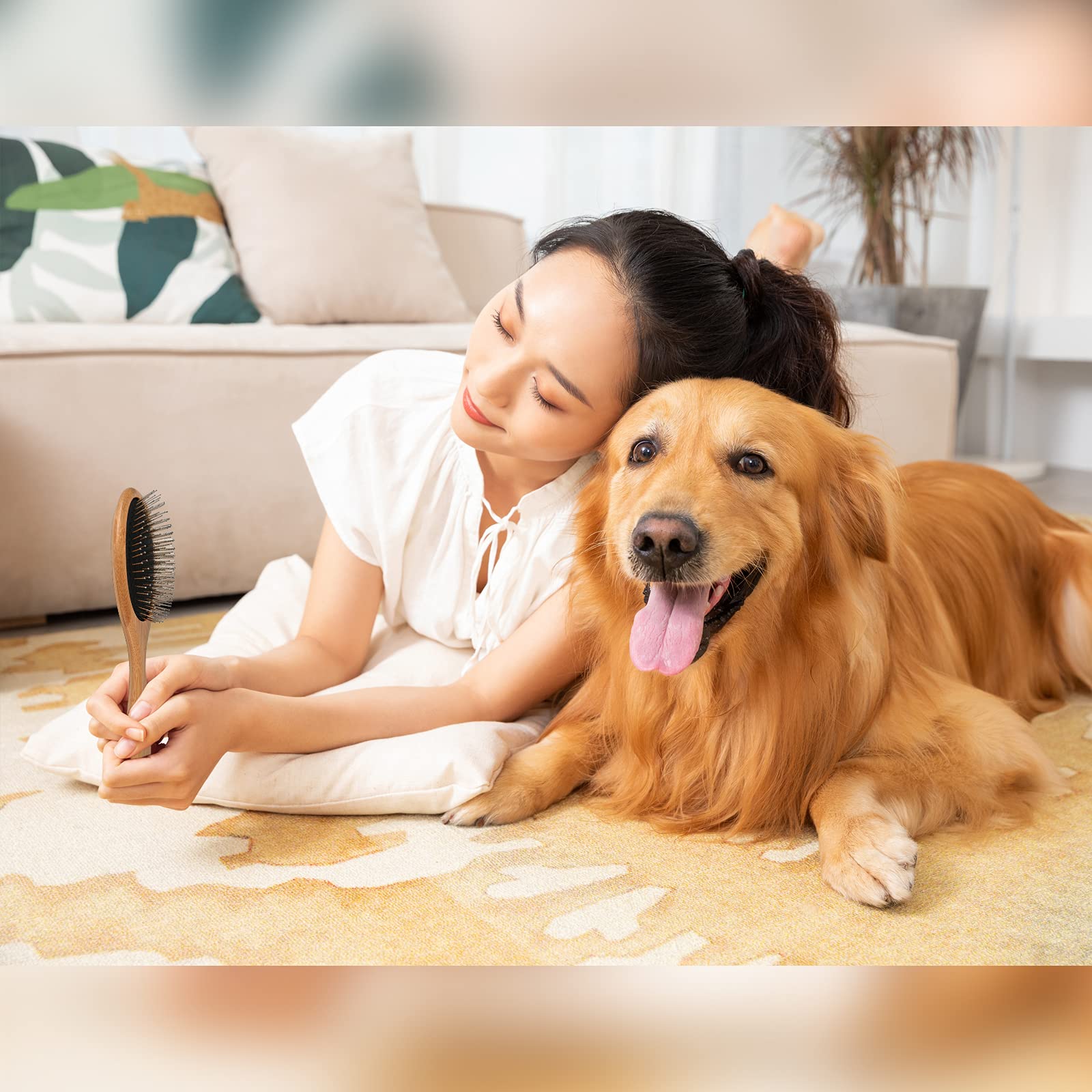 Clumsy Pets brush suitable for small and large breeds.