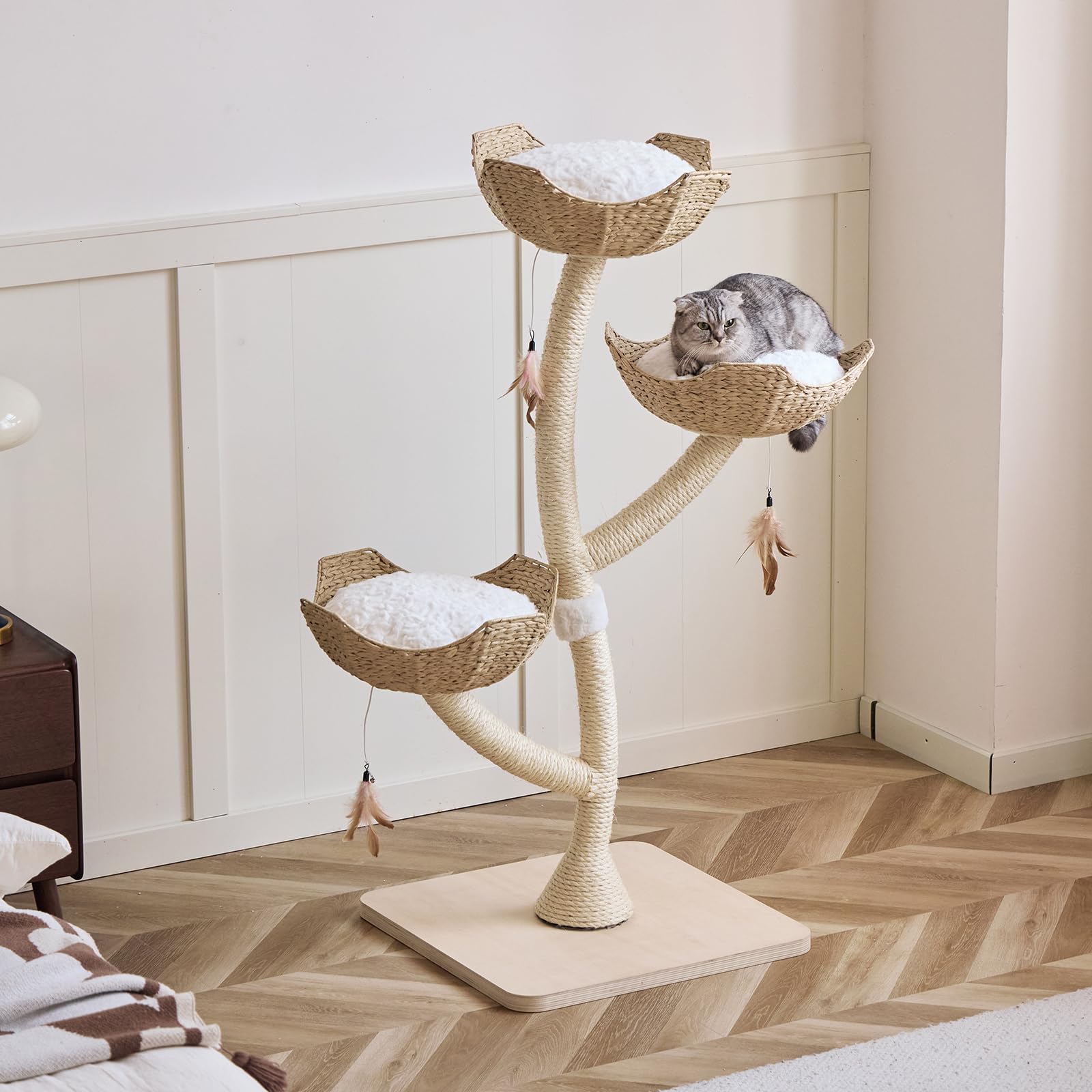 CLVTREBETO basswood base adds stability for active climbers.