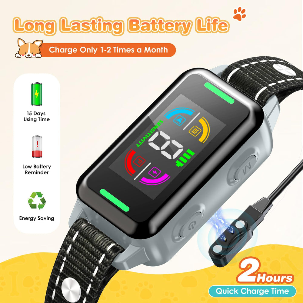 Clwzrr IP67 waterproof collar for training at pool or beach.