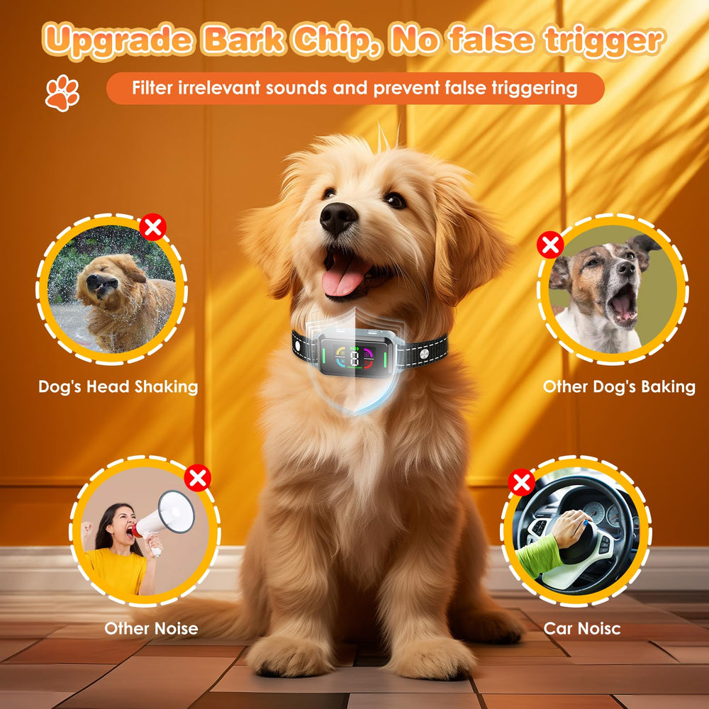 Clwzrr magnetic charging keeps the collar ready between sessions.