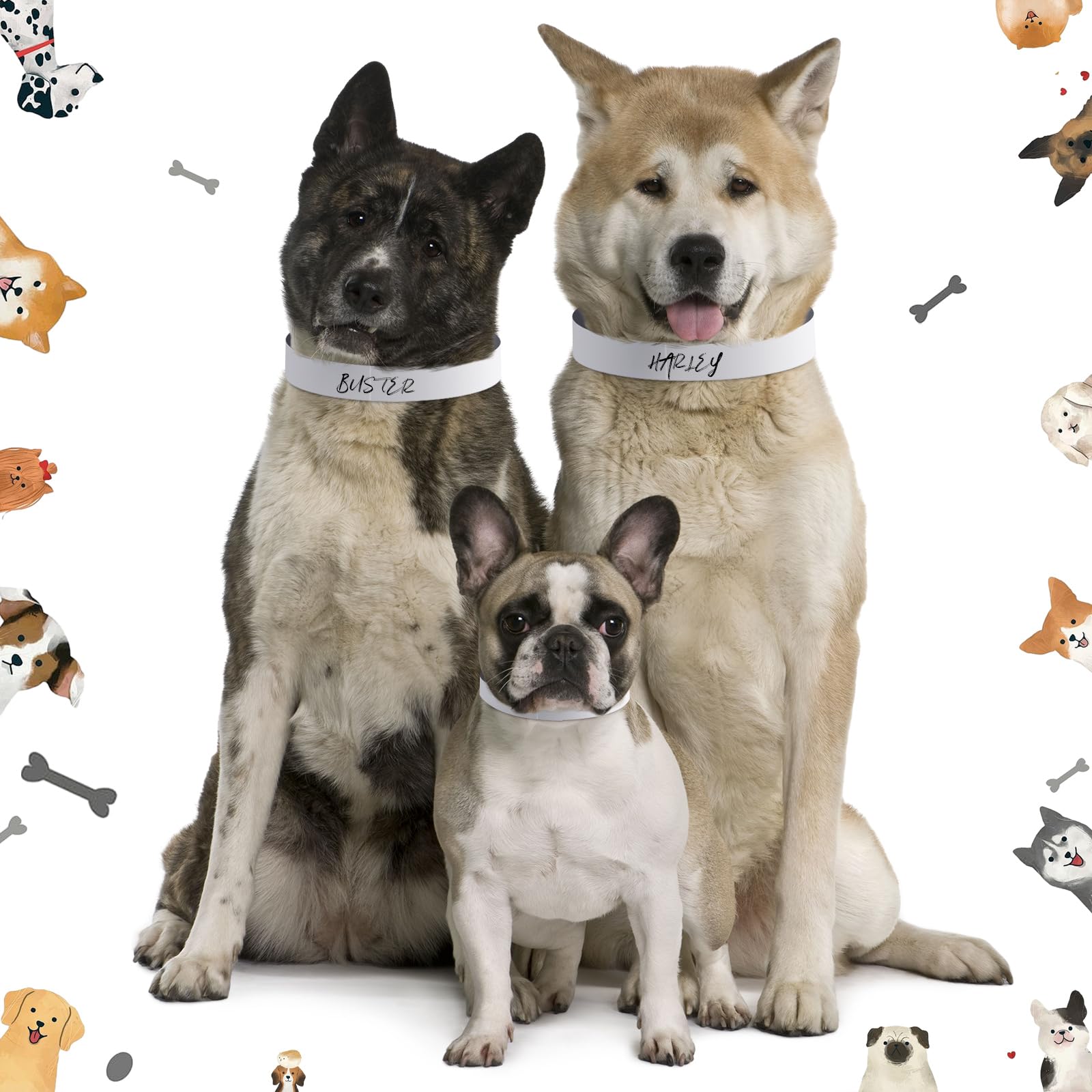 Clysee 0.75inch-width collar fits most newborn pets comfortably.