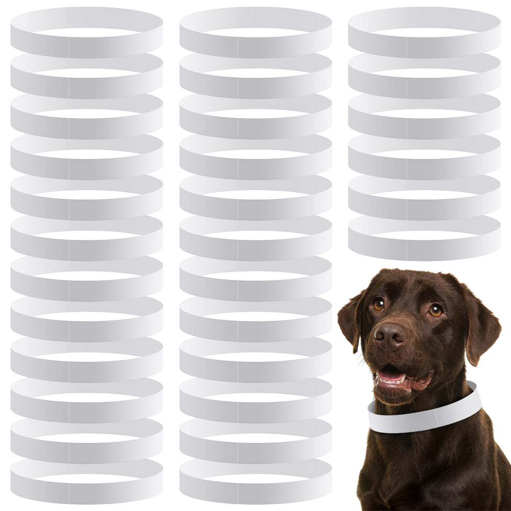 Clysee 500-count white puppy collars pack for quick pet identification in clinics.