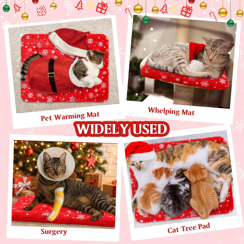 Clysee cat-dog resting on sofa with warm pad for cozy winter naps