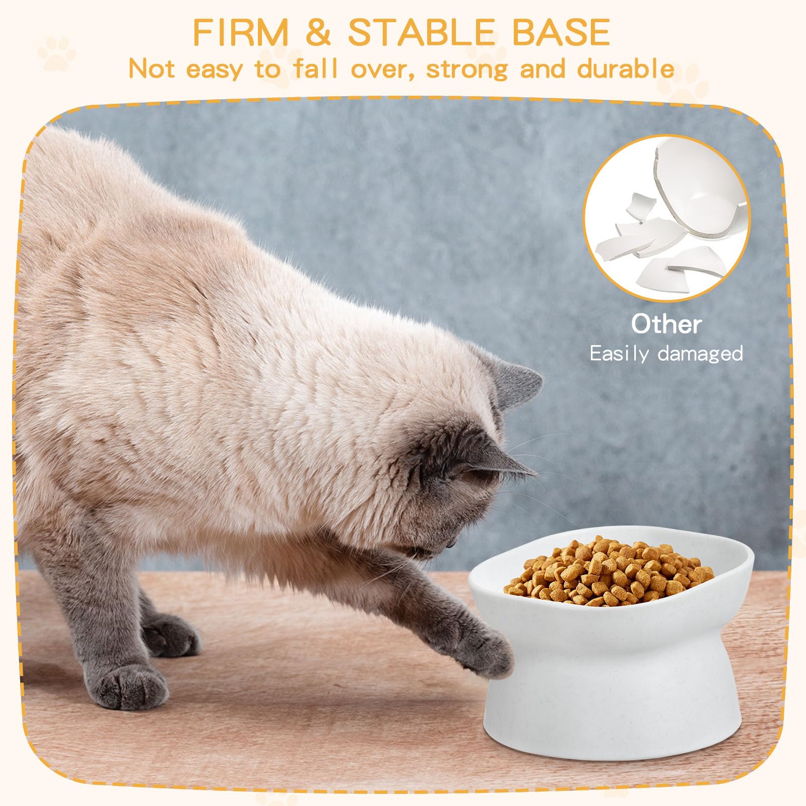 Clysee elevated bowls gift-ready pack suitable for pet households