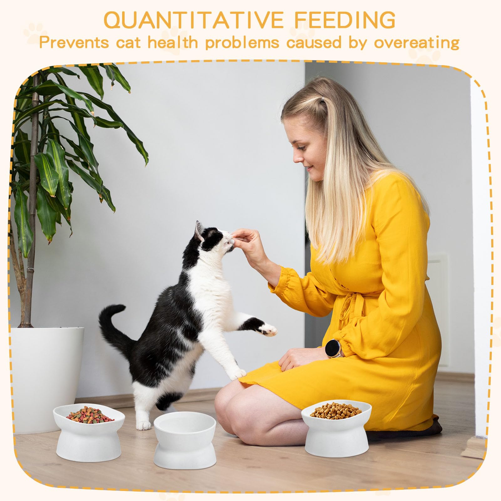 Clysee four-piece set for kittens and cats with comfortable swallowing