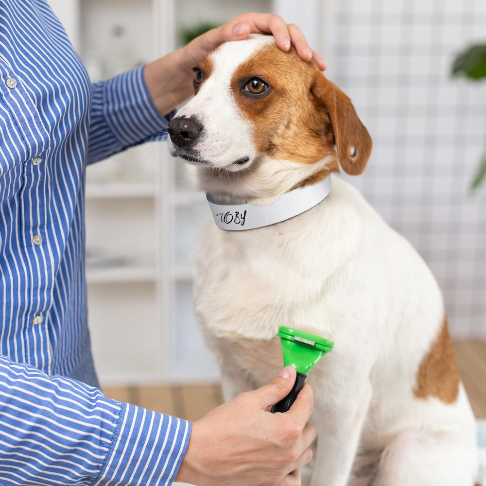 Clysee latex-free skin-safe puppy collars reduce irritation for sensitive pets.