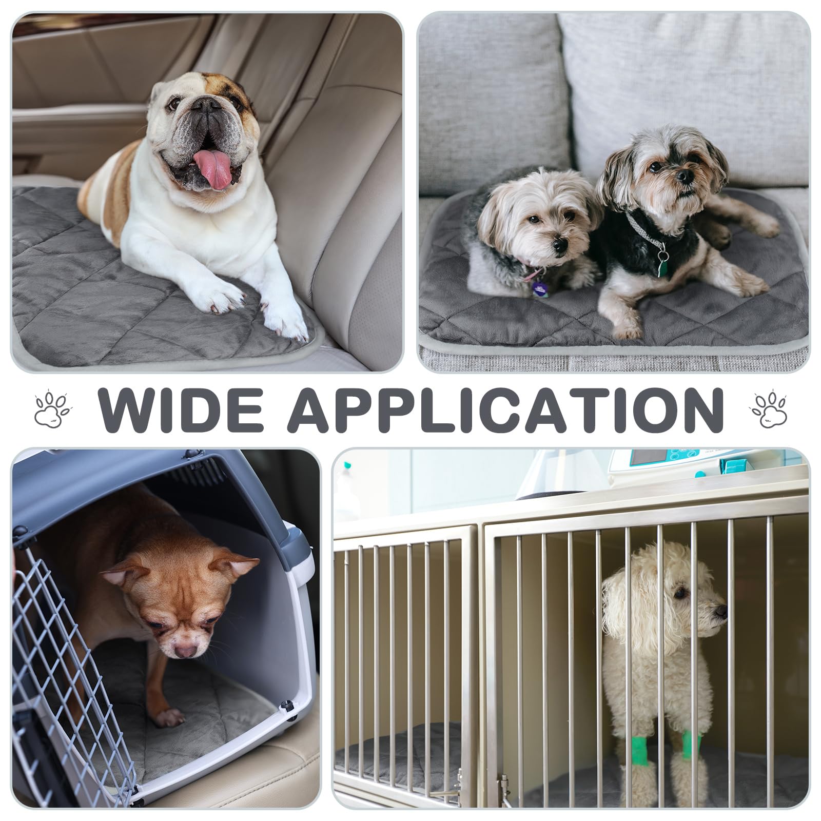 Clysee machine-washable pet mat is easy to clean after adventures.