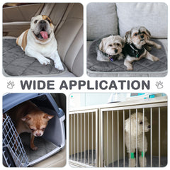 Clysee machine-washable pet mat is easy to clean after adventures.