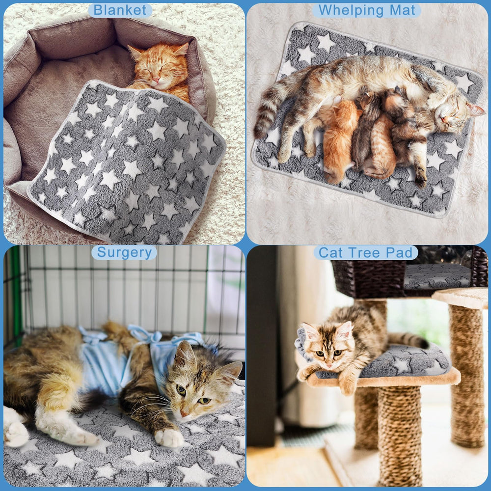 Clysee self warming cat pad inside car seat protecting interior while pets relax
