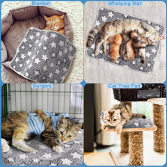 Clysee self warming cat pad inside car seat protecting interior while pets relax