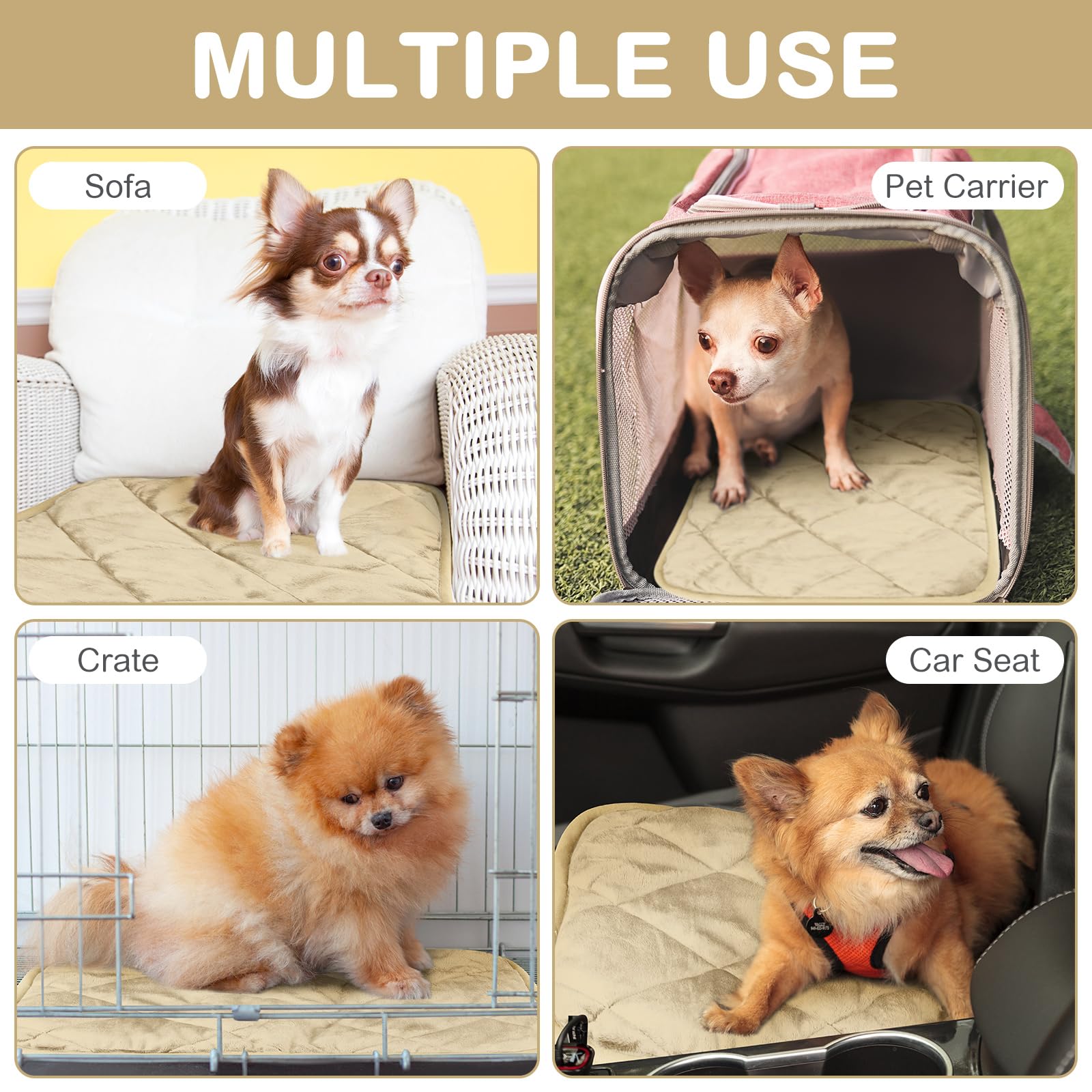 Clysee self-warming pet pad in crate demonstrates versatile warmth in a kennel