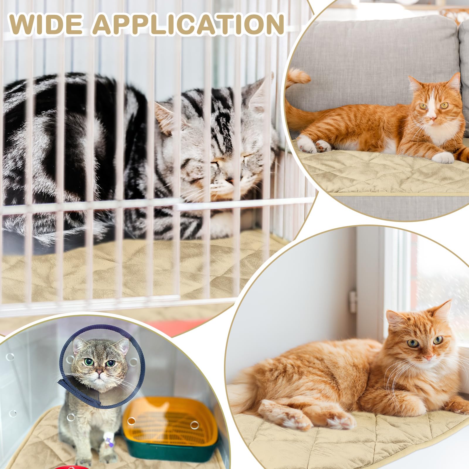 Clysee self-warming pet pad packaging shows two-pack value for homes with two pets
