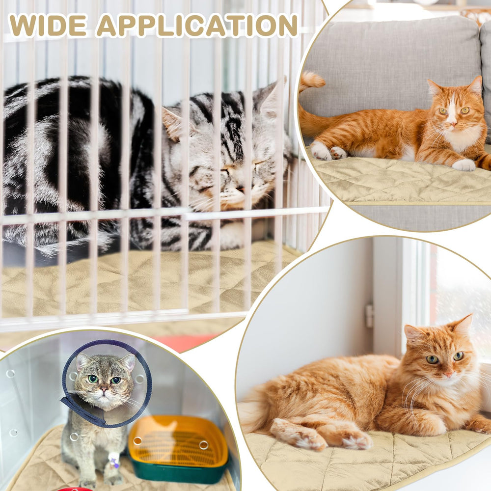 Clysee self-warming pet pad packaging shows two-pack value for homes with two pets