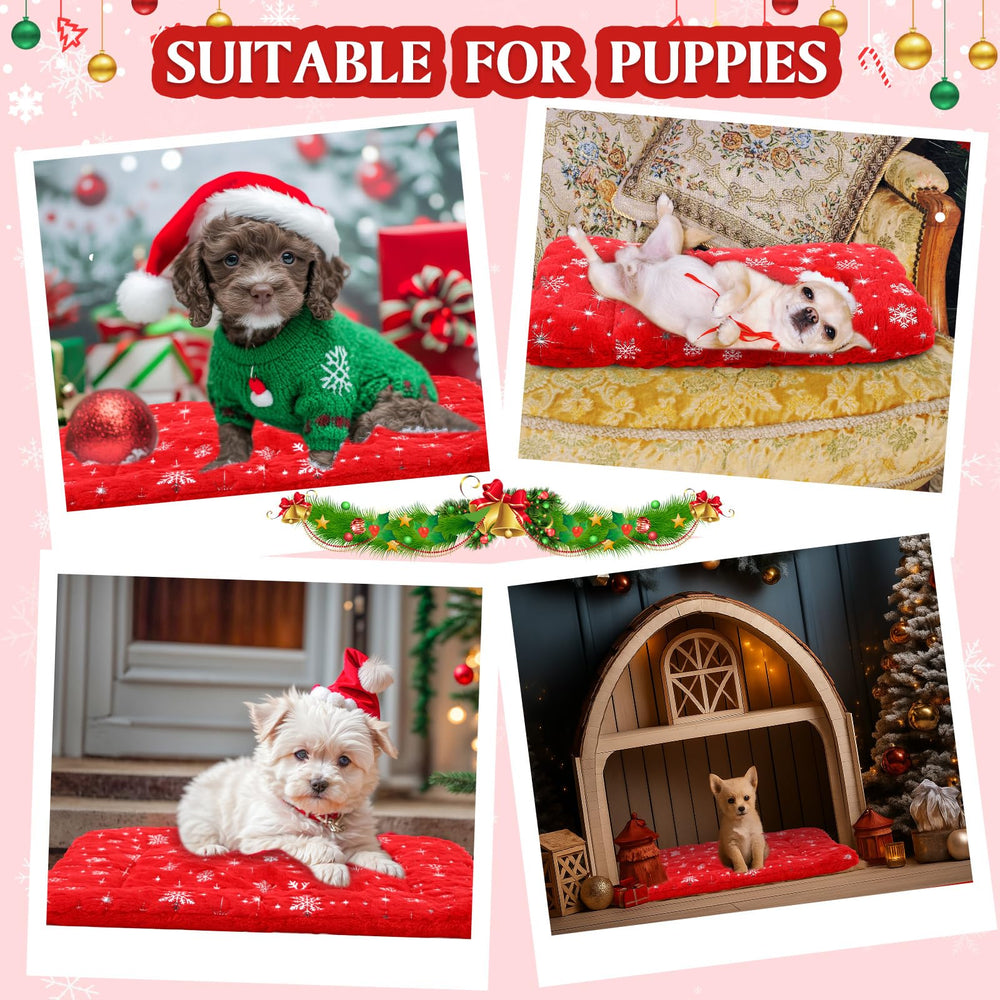 Clysee two-pack packaging showcases convenient twin warming pads for pets
