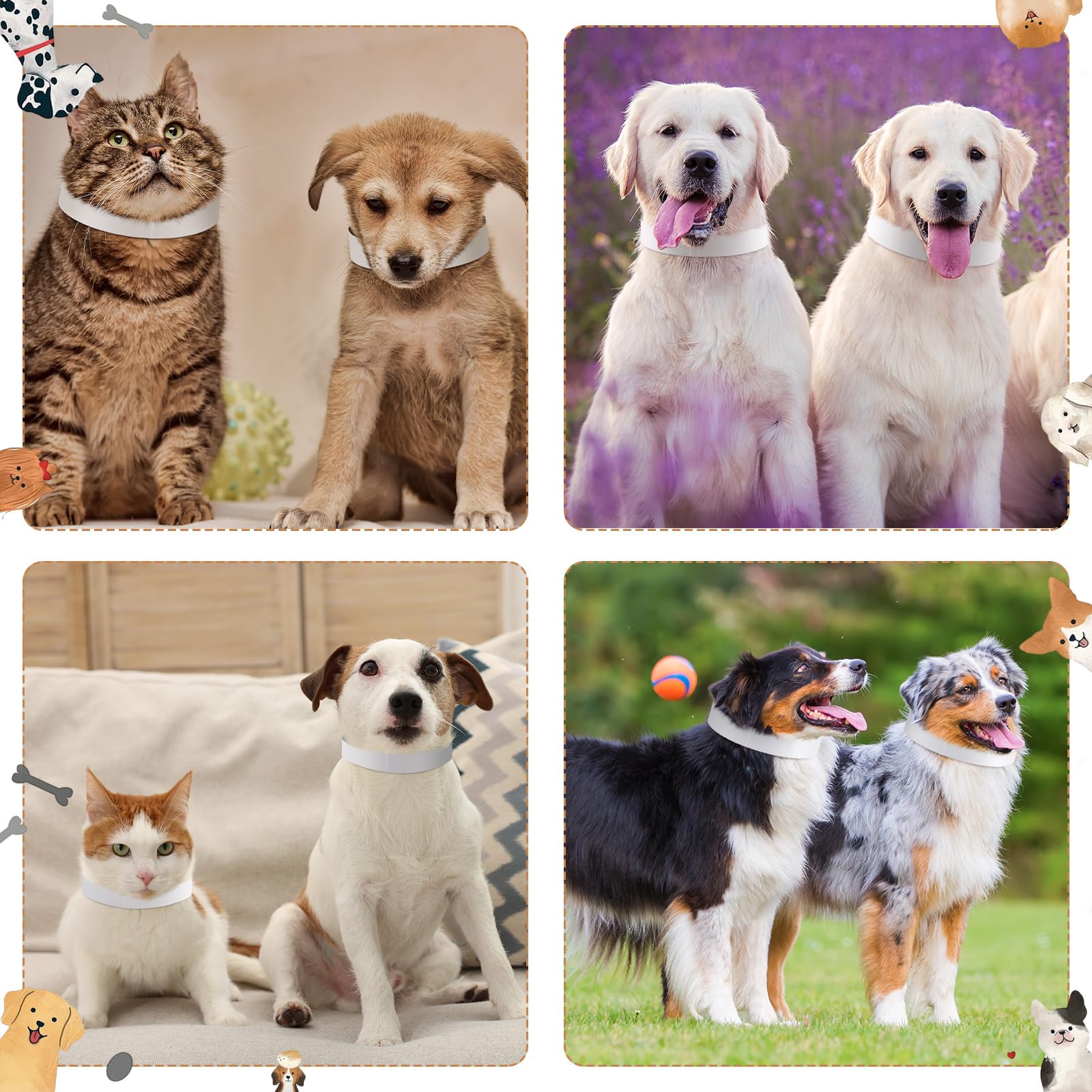 Clysee versatile pet identity tags support quick identification across farms clinics shops.