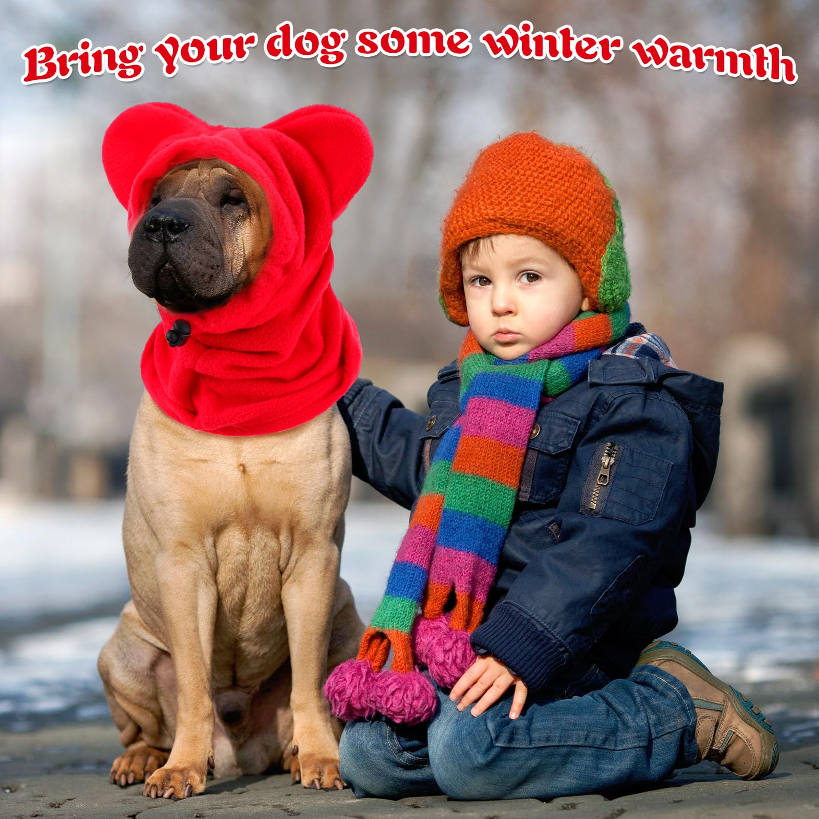 Clysee gift-ready packaging image suggests a thoughtful present for dog owners.