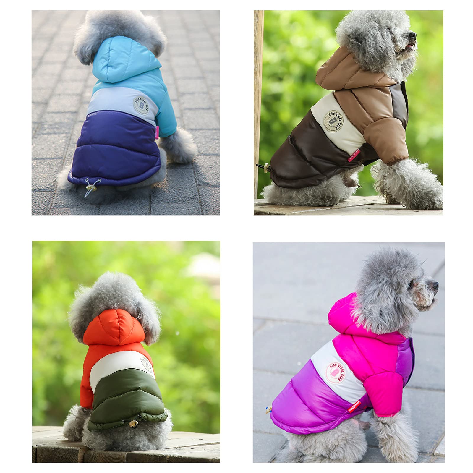 CMREAEC Shih Tzu-Schnauzer winter coat hoodie for daily warmth
