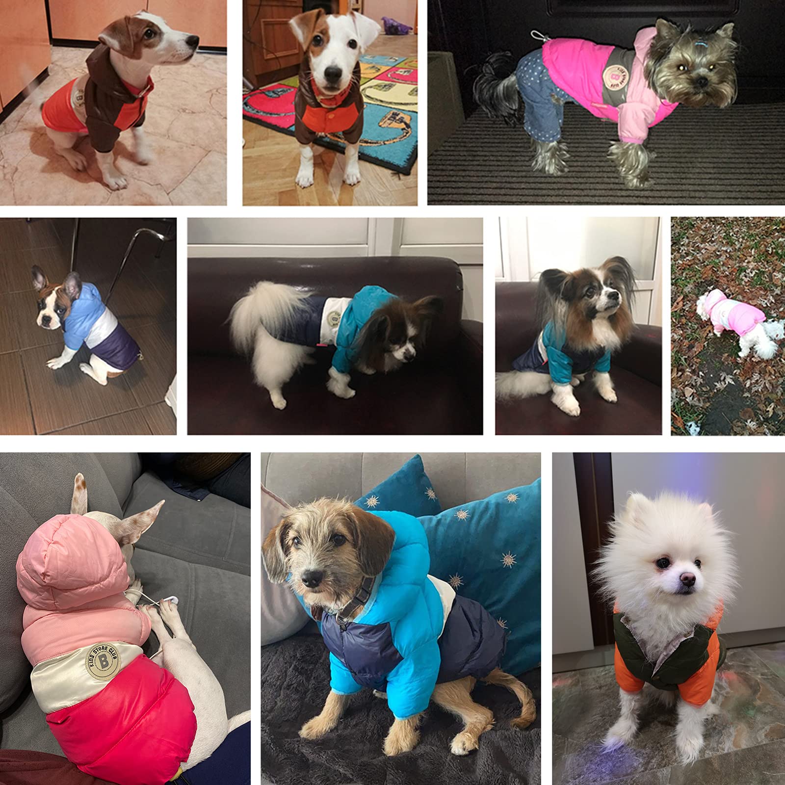 CMREAEC Yorkie down jacket for cool walks