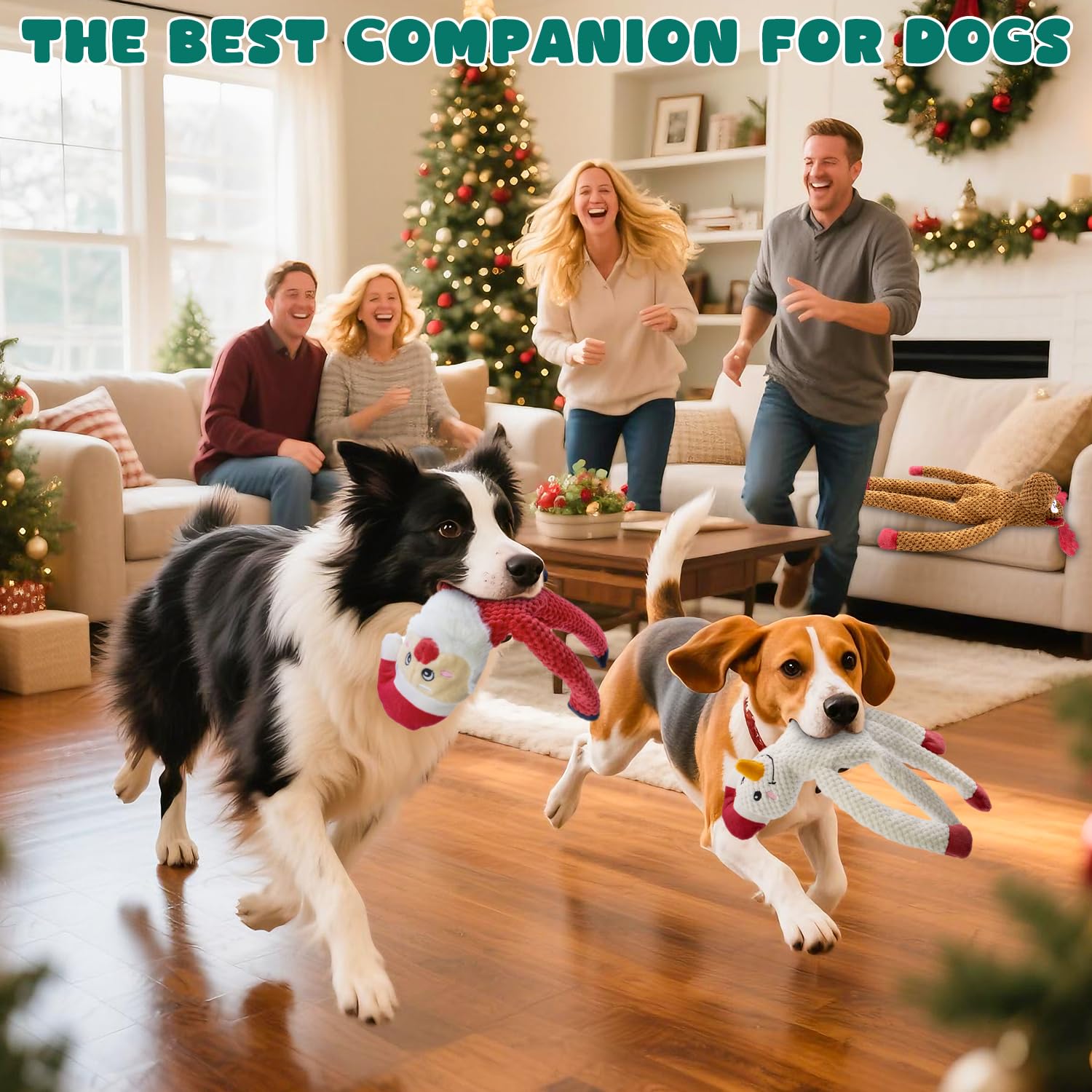 CneeeeeB 3-Pack Gift Set packaging makes holiday gifting easy.
