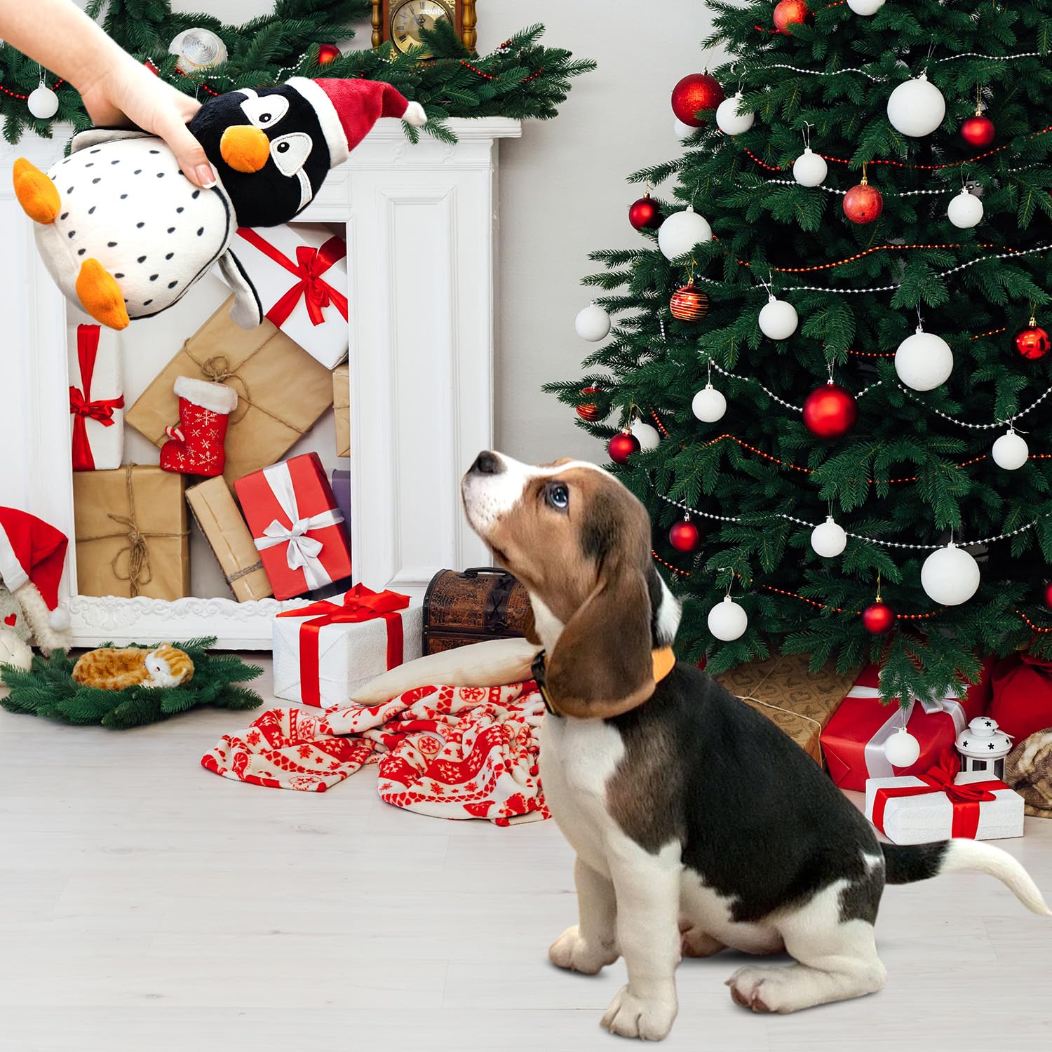 CneeeeeB dog toy helps keep teeth clean through chewy play