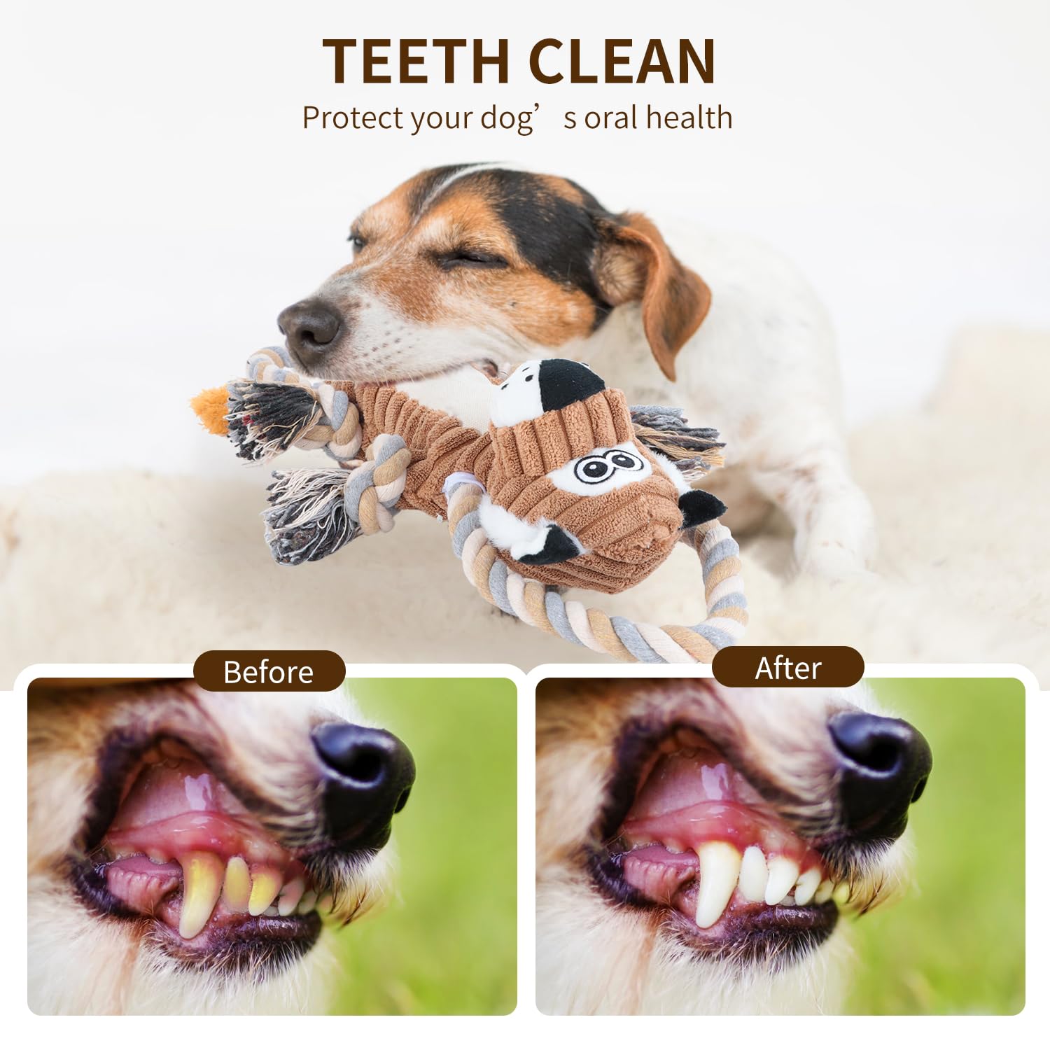 CneeeeeB squeaky dog toy in tug session encourages interactive play and bonding.