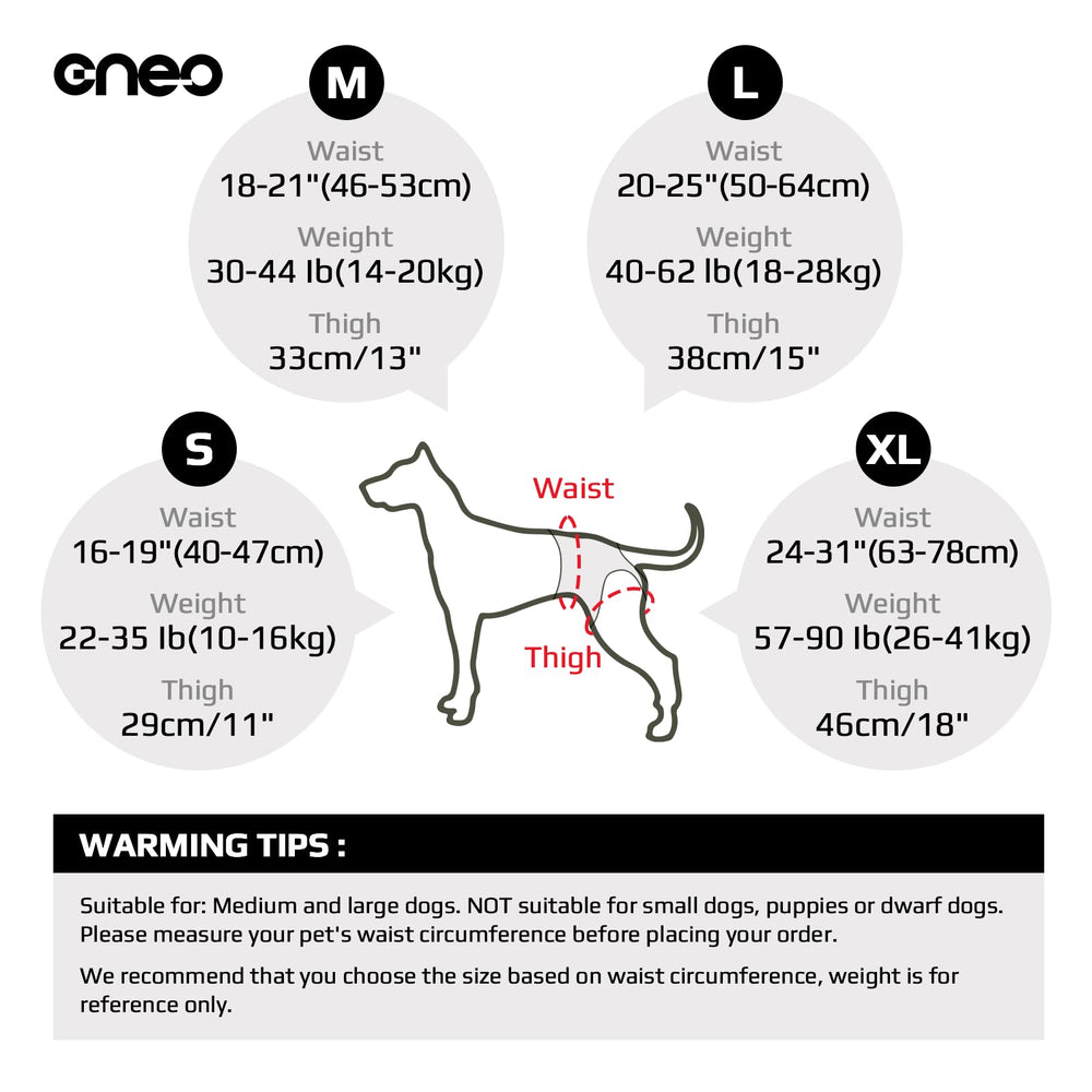 CNEO dog lift harness breathable-materials image reveals airy fabric for long outings.