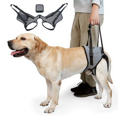 Cneo Dog Lift Harness main view shows secure wrap for easier mobility.