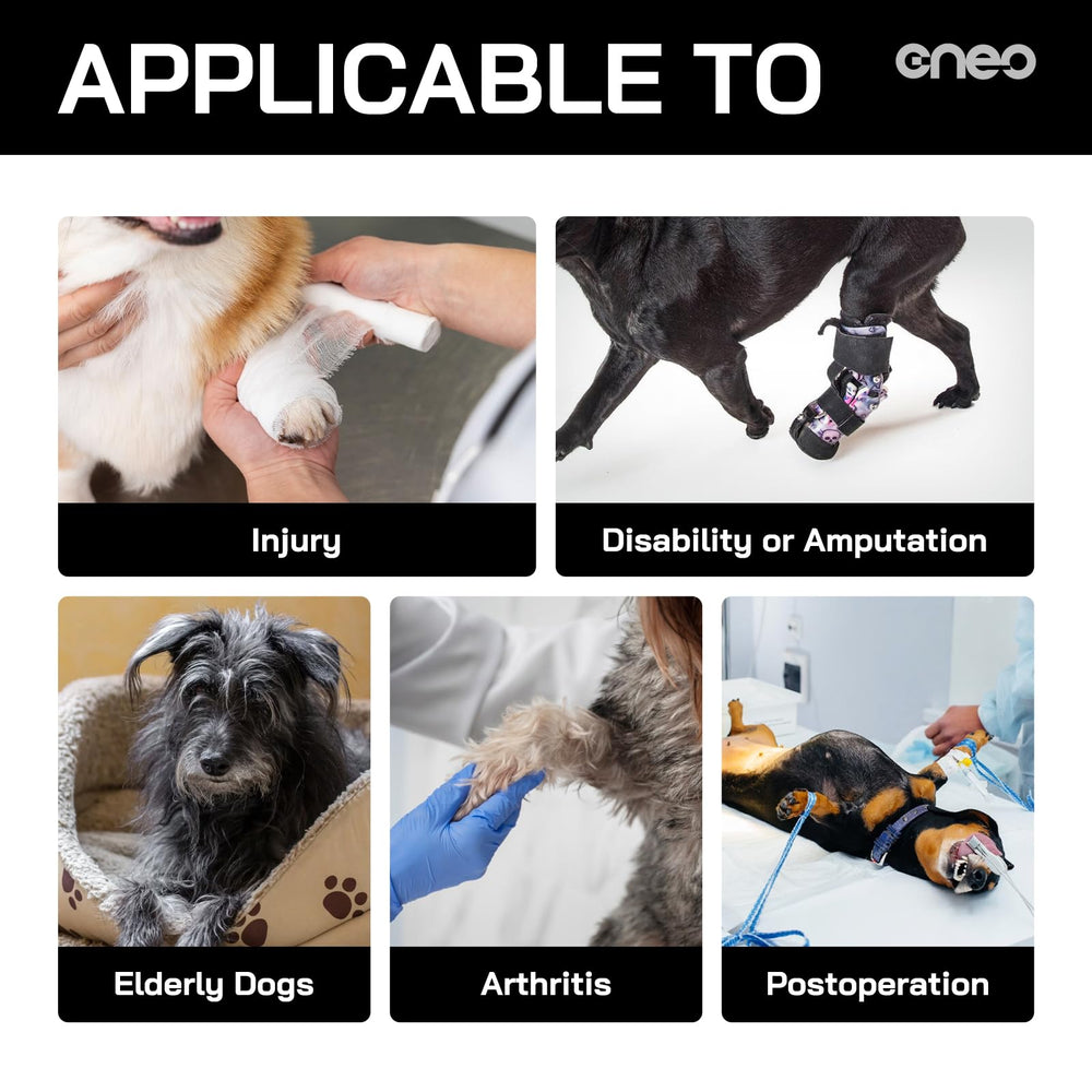CNEO dog lift harness padding-handle emphasizes comfortable grip for the caregiver.