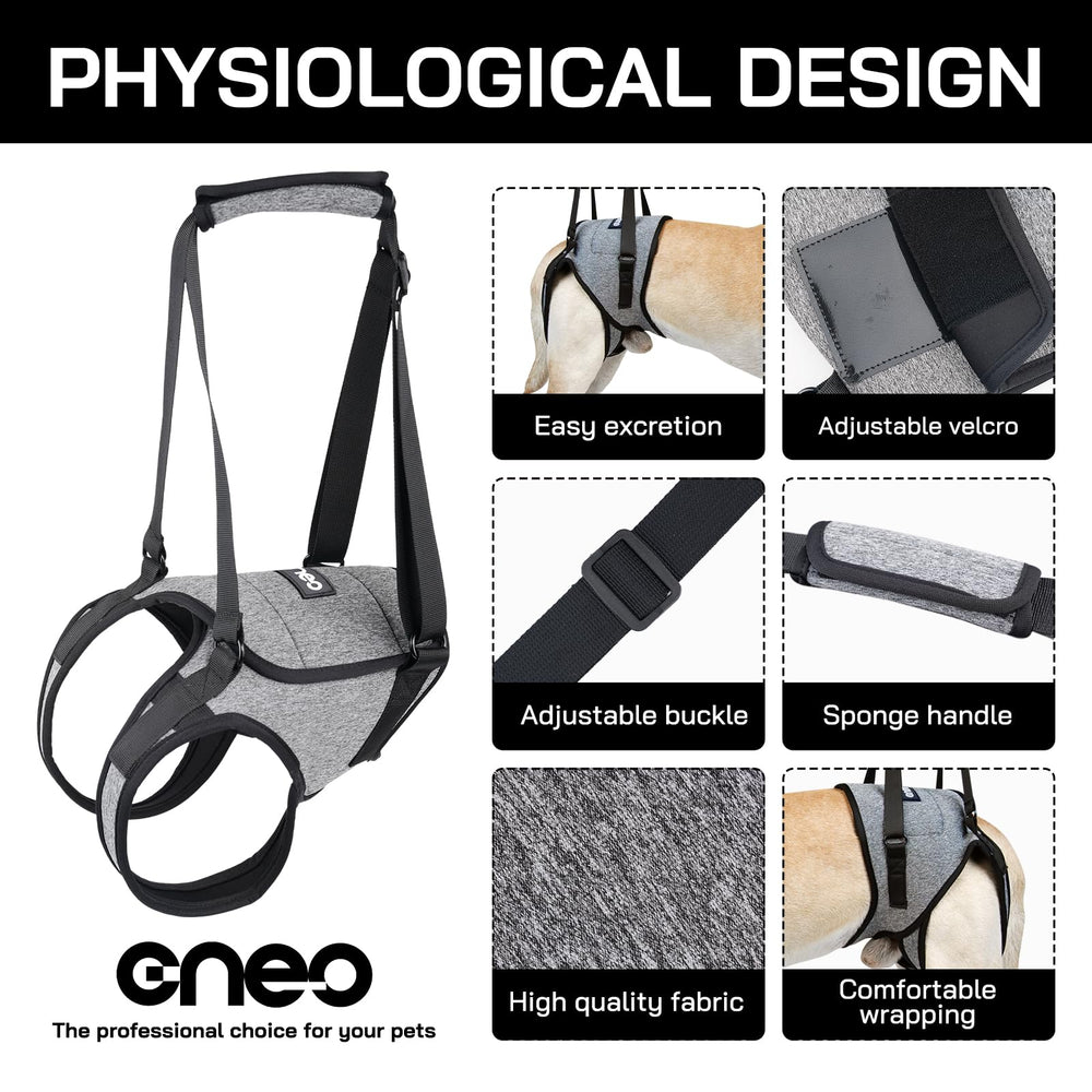 CNEO dog lift harness urination-groove demonstrates mess-free relief during outdoor breaks.