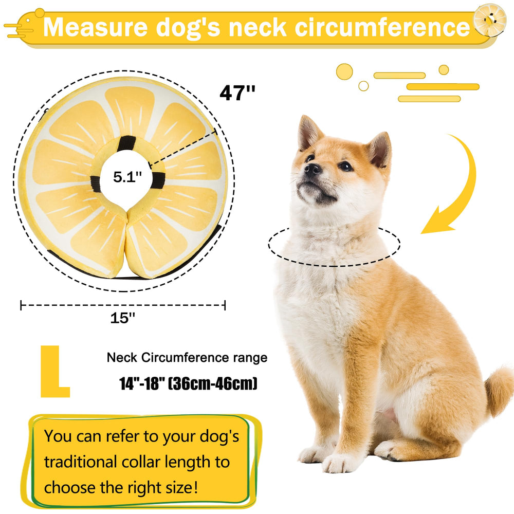 Cneo lemon color inflatable collar highlights a cheerful recovery option at home.